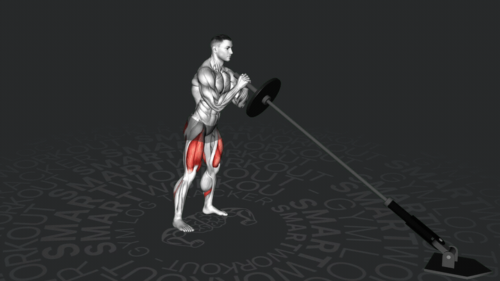 Przysiad z półsztangą