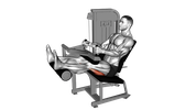 Flexion des jambes assis à la machine