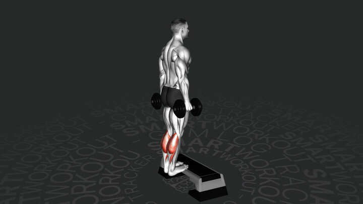 Sollevamenti dei polpacci in piedi con manubri