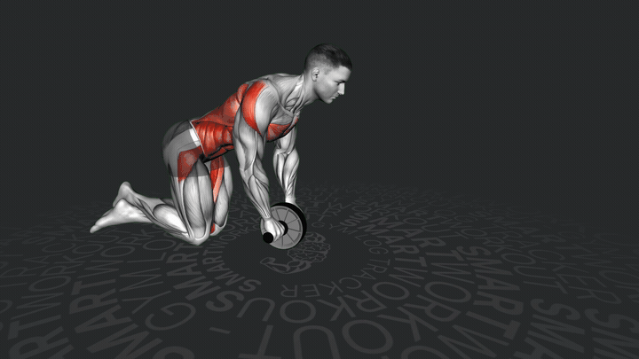 Roulade avec roue abdominale