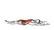 Hollow Body Hold