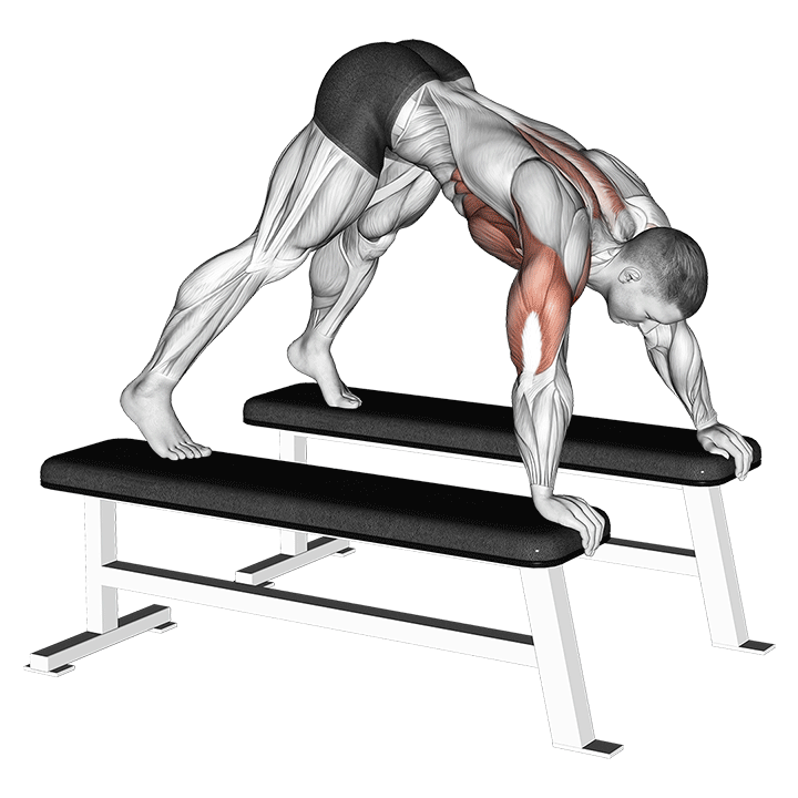 Pike Push-Up Between Benches