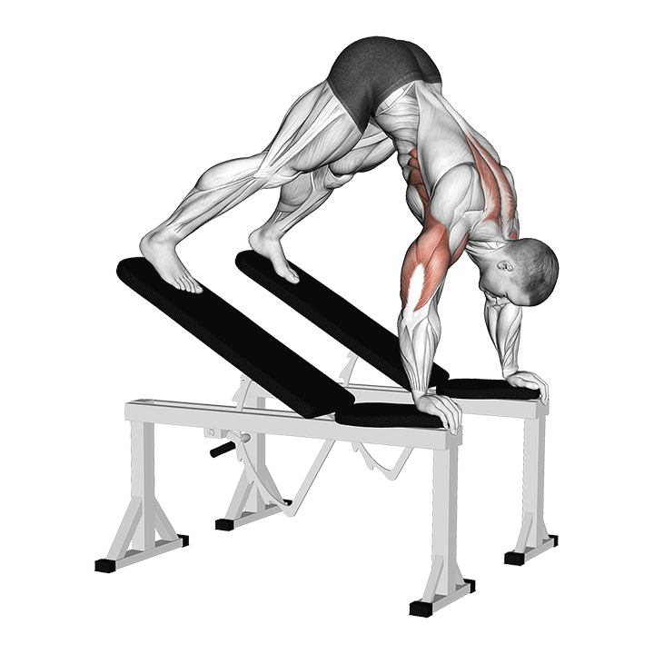 Pike Push-Up Between Benches