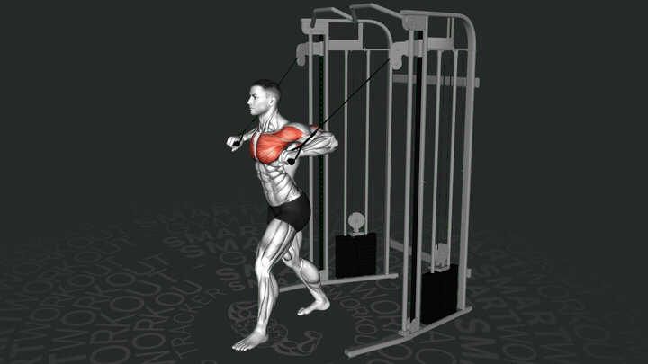 Press de Pecho Bajo en Polea de Pie