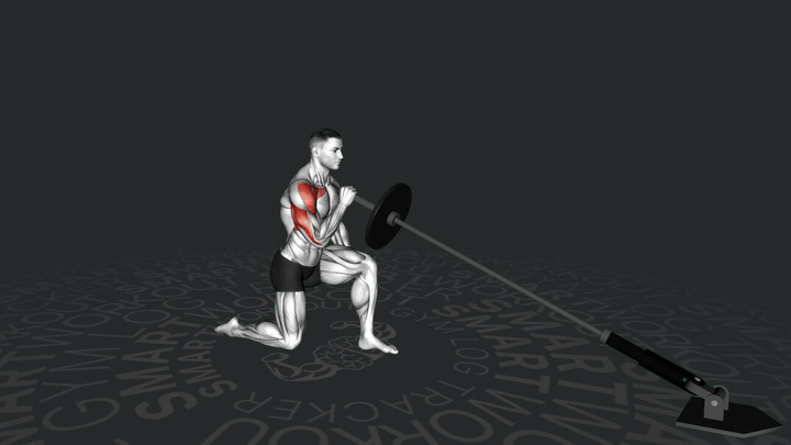 One-Arm Landmine Half Kneeling Shoulder Press