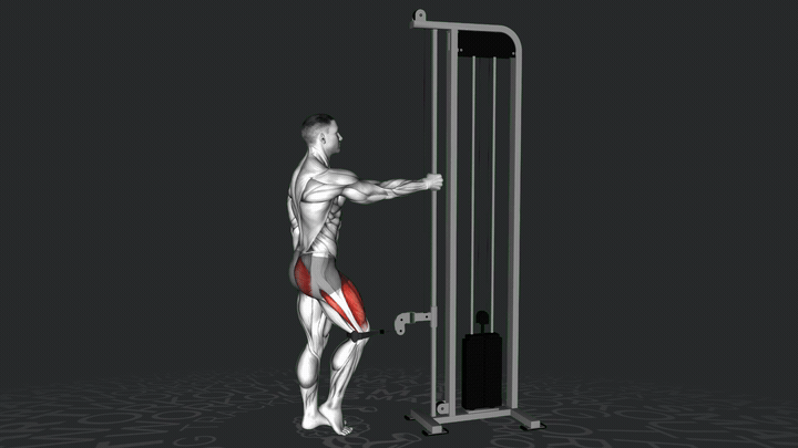 Estensione del Ginocchio al Cavo