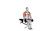 Seated Cuban Press