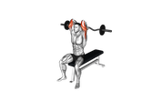 Extension des triceps assis à la barre EZ