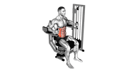 Rotary Torso