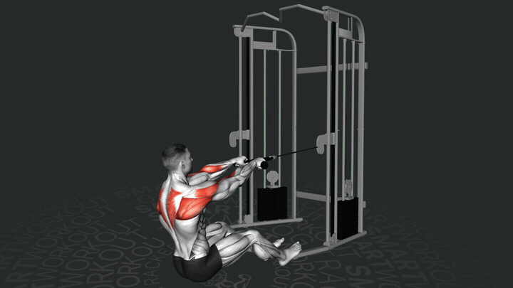 Seated Face Pull