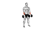 Dumbbell Standing Reverse Wrist Curls