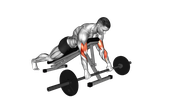 EZ-Bar Reverse Spider Curl