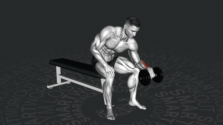 Einarmige Kurzhantel-Rückwärts-Handgelenksbeugung