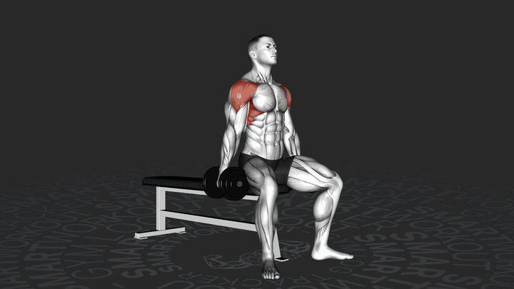 Dumbbell Seated Lateral Raise
