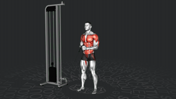 Pallof Press horizontal à la poulie basse