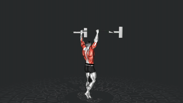 Gewichteter Muskelaufzug