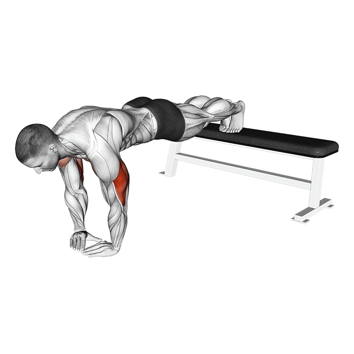 Decline Diamond Push-Up