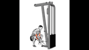 Cable Squatting Curl