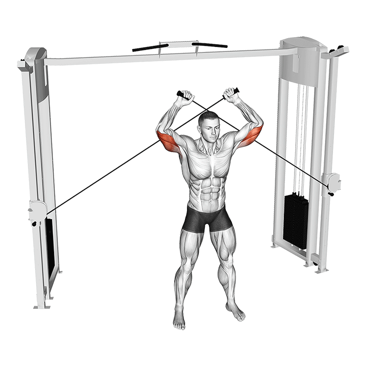 Katana Triceps Extension