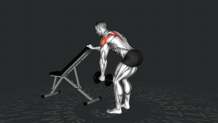One-Arm Dumbbell Supported Bent Over Lateral Raise