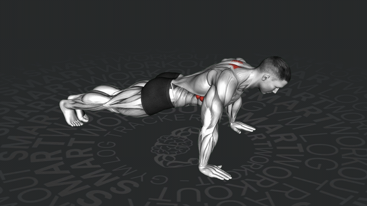 Scapula Push-Up