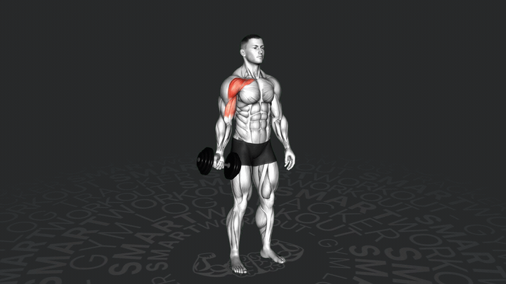 Apertura Baja con Mancuerna Unilateral