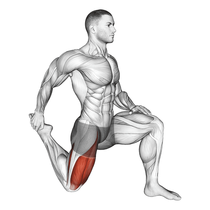 Half Kneeling Quad Stretch