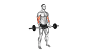 Curl biceps à la barre EZ sur la moitié basse du mouvement