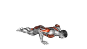 Chien Tête en Haut