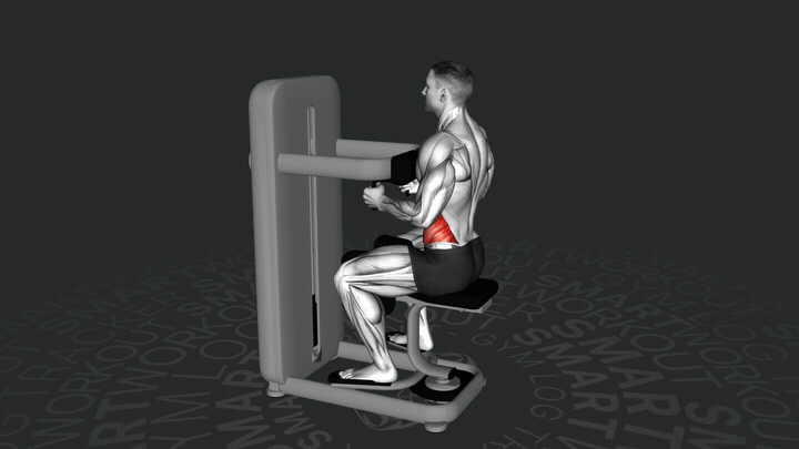 Сидячий поворот туловища на тренажере