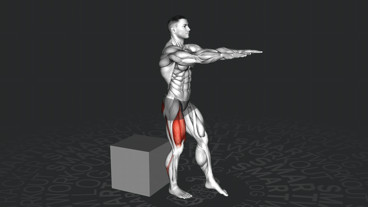 Squat sur boîte en pistolet