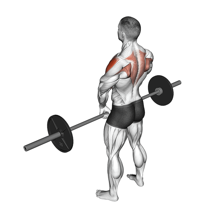 Barbell Narrow Grip Upright Row