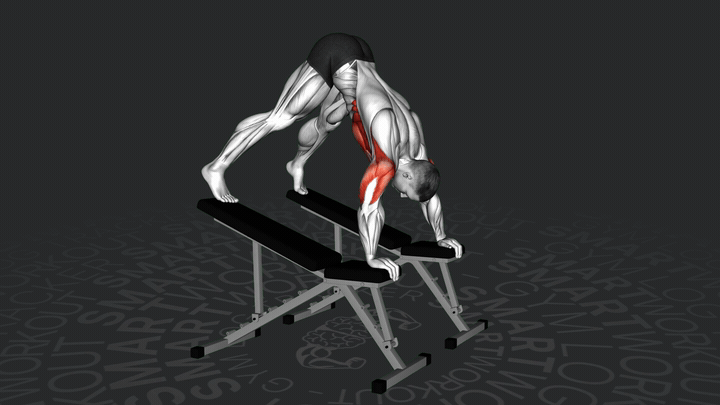 Pike Push-Up Between Benches