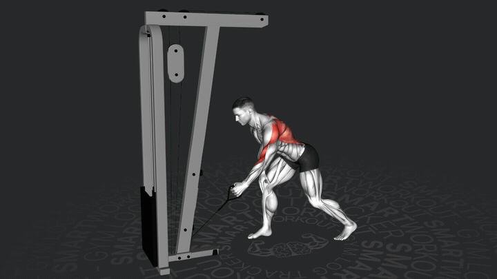 Тяга нижнего блока одной рукой