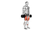 Squat avec haltères