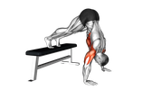Pike Push-Up On Bench