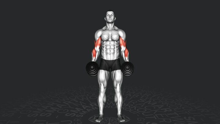 Сгибание рук с гантелями через тело молотковым хватом