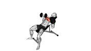 Incline Dumbbell Bench Press