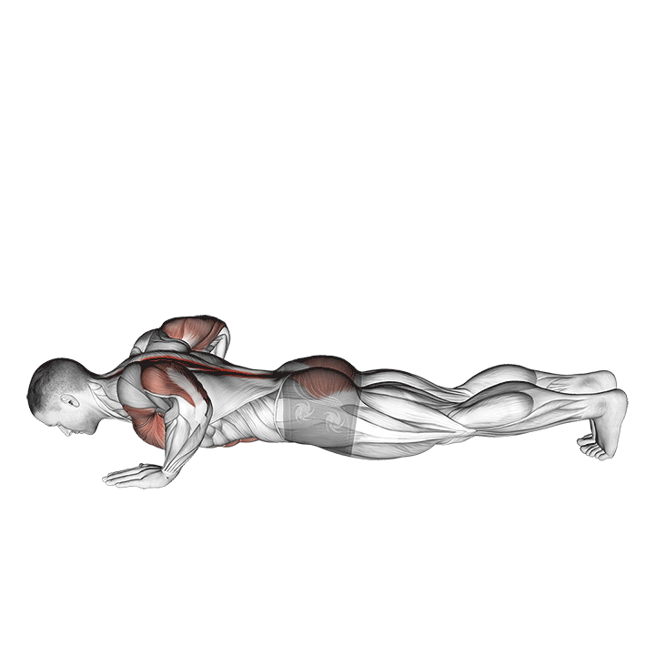 Upward Dog