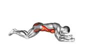 Kneeling Plank