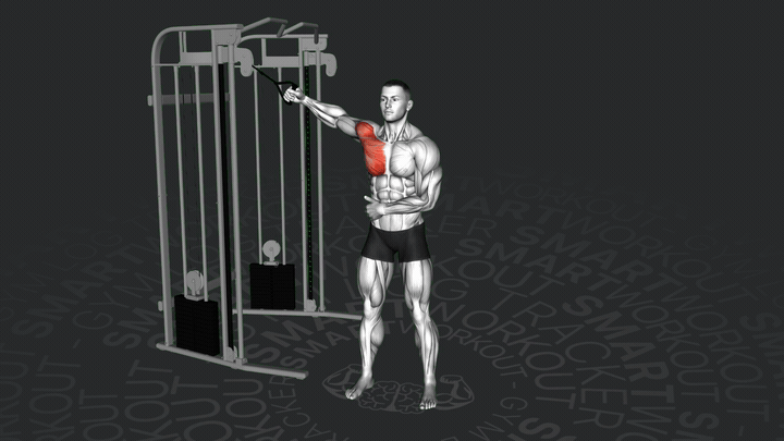 Apertura en Polea de Alto a Bajo con un Brazo