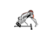 45-Degree Reverse Hyperextension