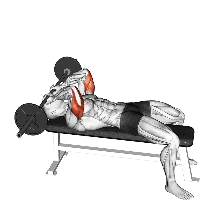 Lying Barbell Triceps Extension (Skullcrusher)
