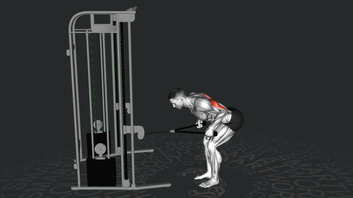 Kabel-Doppelarm-Trizeps-Kickback