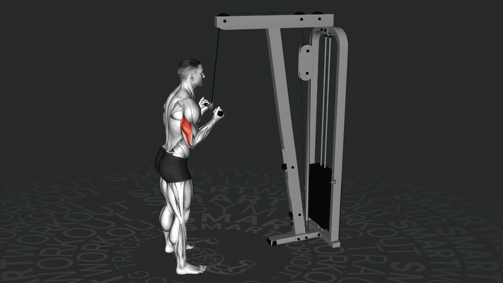 Untergriff Trizepsstreckung