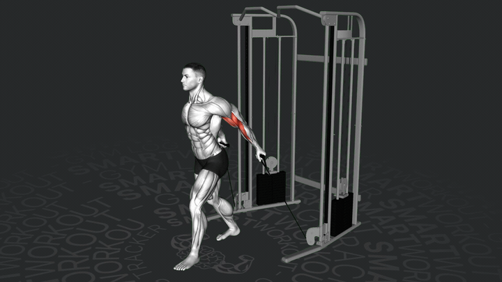 Сгибания рук на блоке лицом от тренажера