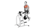 Dips avec poids