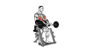 Curl au pupitre avec barre EZ