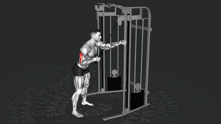 Trizepsdrücken am Kabel seitlich einarmig