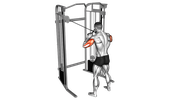 Extension des Triceps à la Poulie Croisée